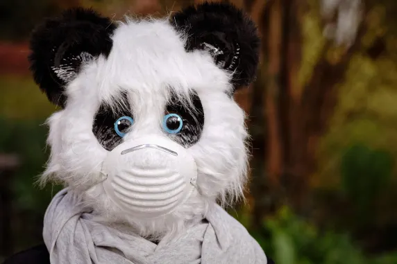 빅아자르트 카지노 지원